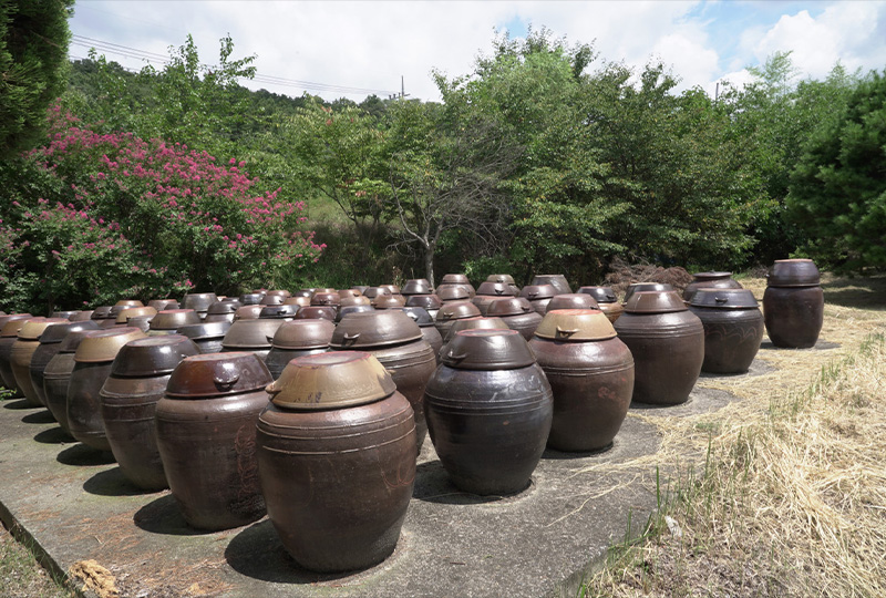 병원 산책로 이미지 3