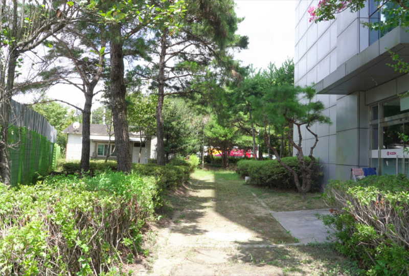 병원 산책로 이미지 4